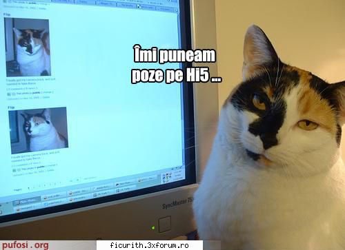 Nota pentru poza - Ryume - Have Fun